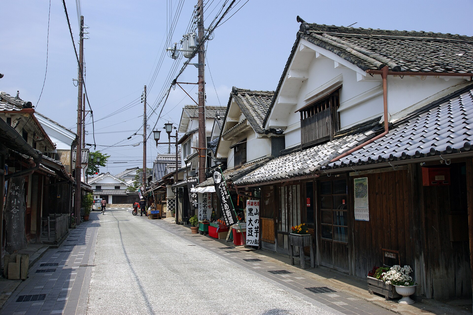 篠山伝統的建造物群保存地区・河原町妻入商家群の町並み